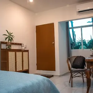 Cuca Macuca Auberge de jeunesse
